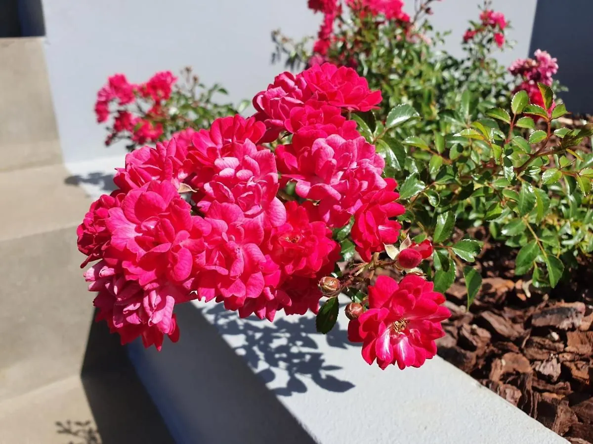Casa Atlantico Dachterrassengeschoss Apartment Ribeira Brava